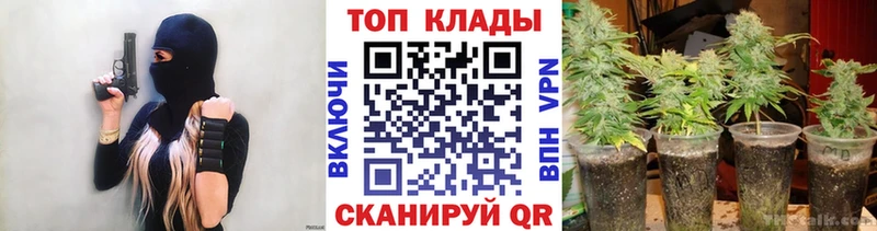 Как найти закладки Избербаш Псилоцибиновые грибы Марихуана МЕТАДОН ГАШИШ Меф