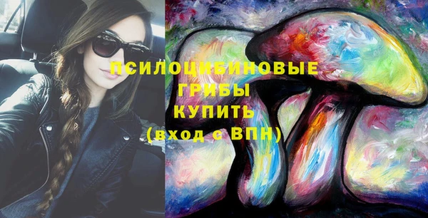 молекула духа Семилуки
