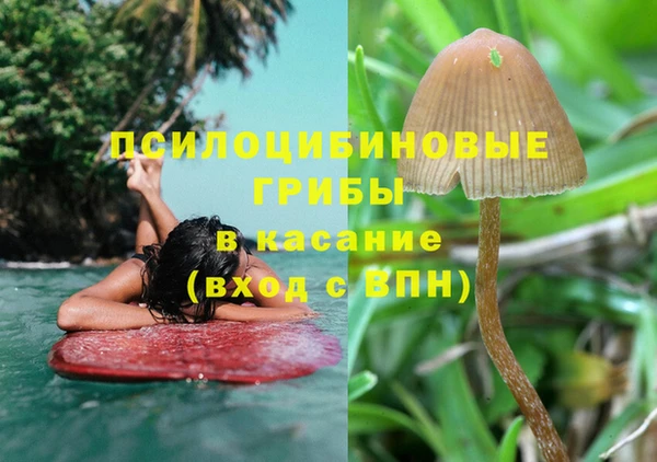 дмт Беломорск