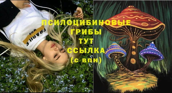альфа пвп Семикаракорск